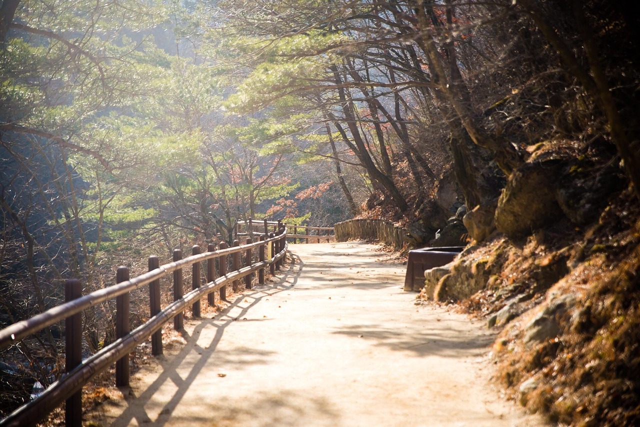 주왕산 산행길