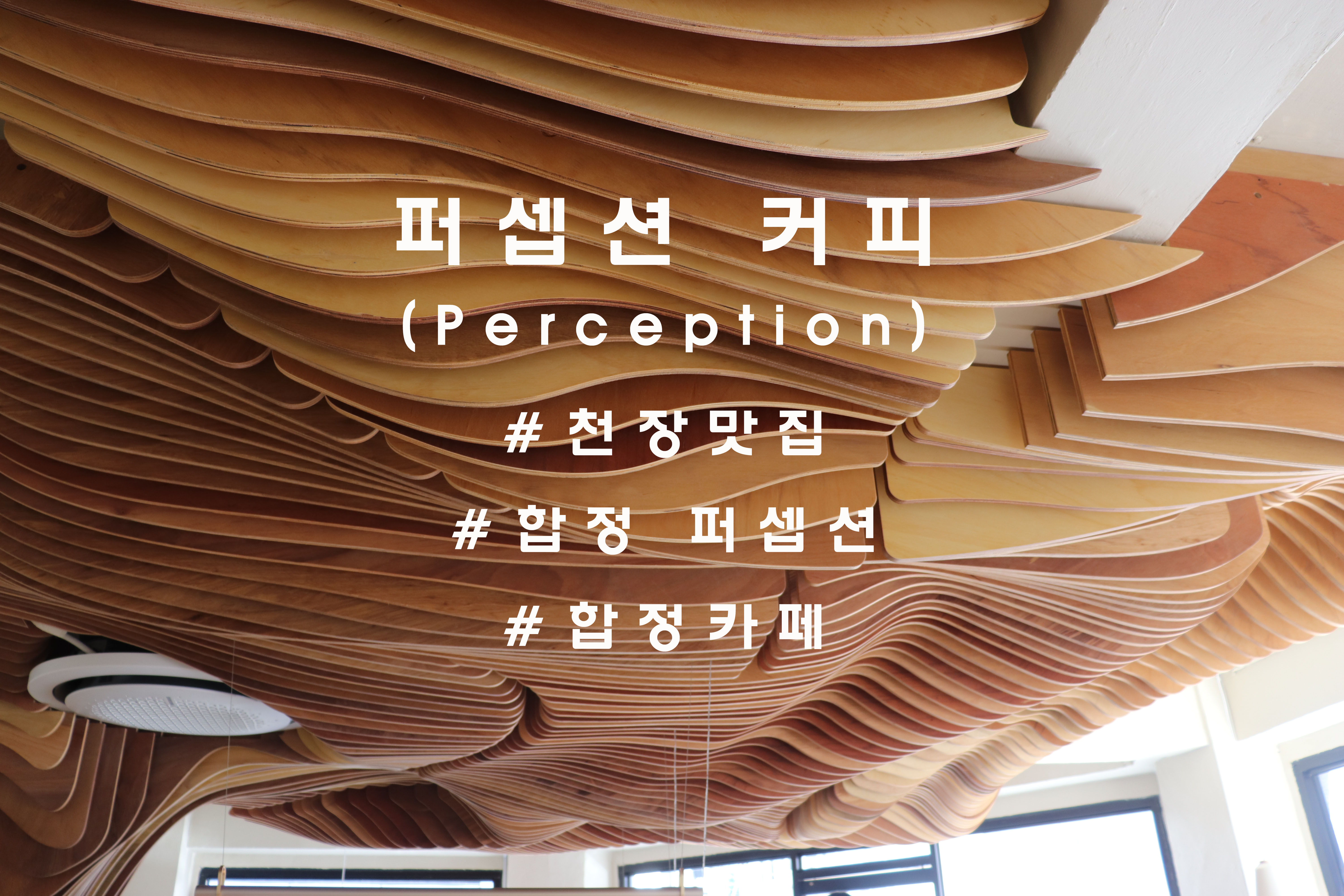 유명한 천장맛집, 합정 '퍼셉션'(perception)