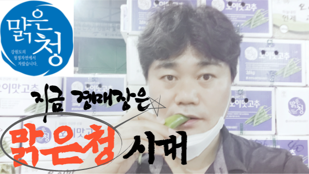  [경매사의 눈] 지금 경매장은 "맑은청" 시