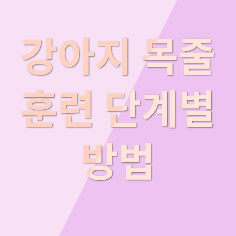 강아지 목줄 훈련_3