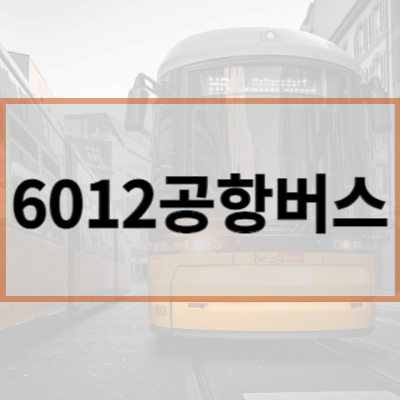 6012-공항버스