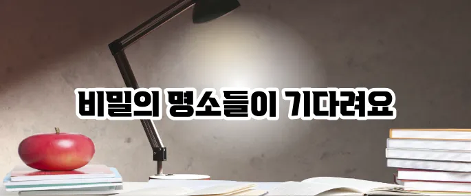 강원도 가볼만한곳 베스트10 인생샷 명소 정리