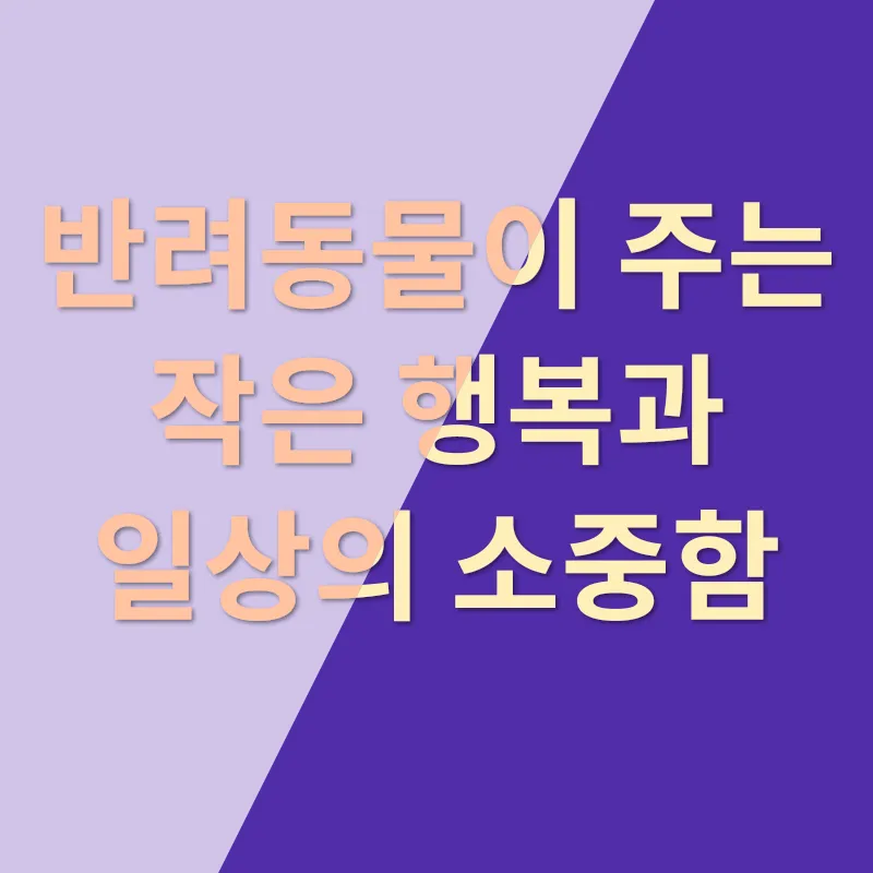 애도 장례업체 선택 기준_2