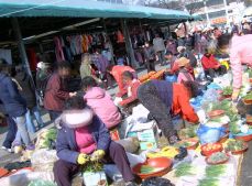 전국 장날표