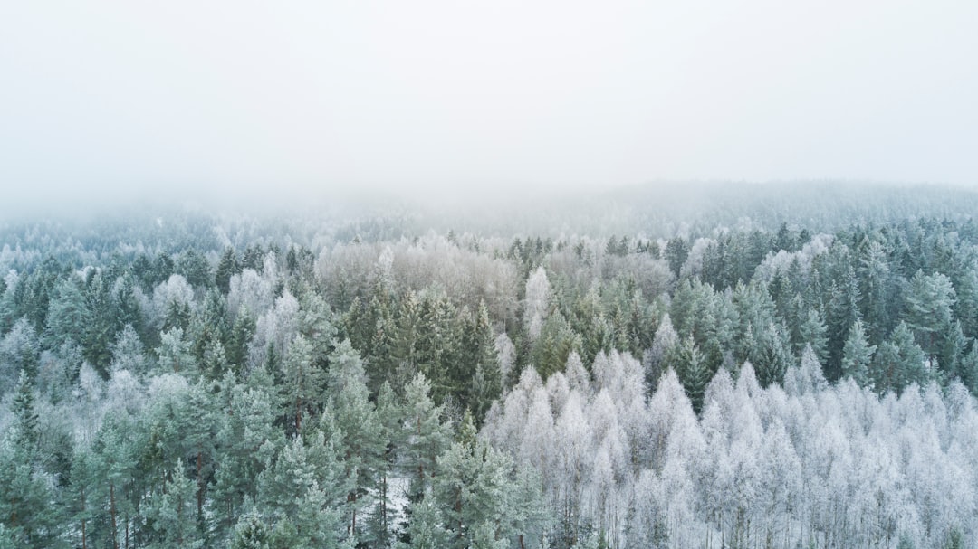 Winter.