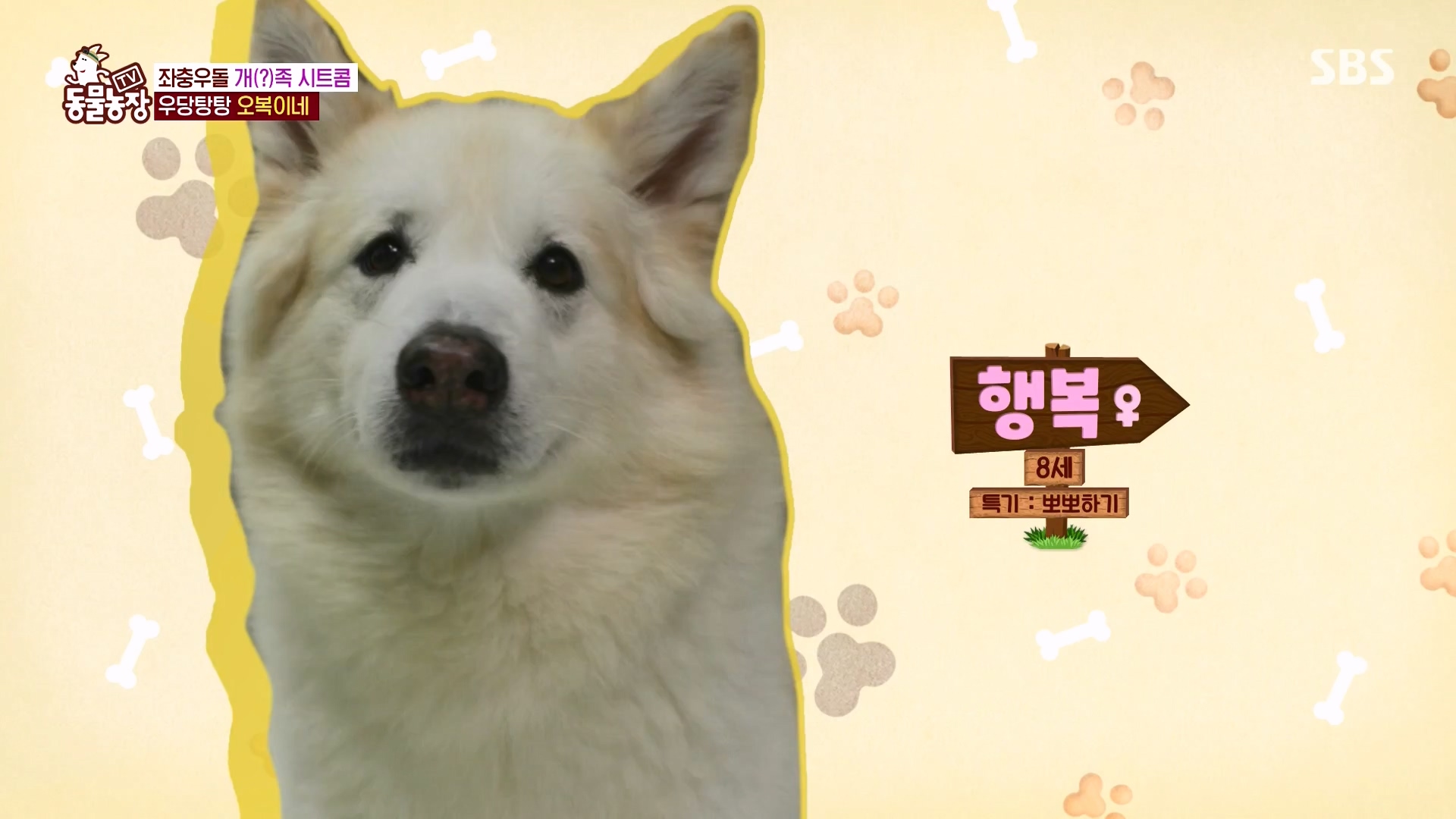 TV 동물농장.E1166.240407p-NEXT.mp4_20240407_164454.962.jpg