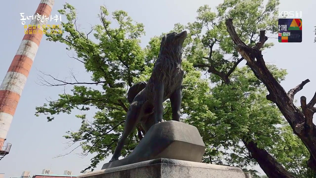 동네 한 바퀴.E276.240602p-NEXT.mp4_20240602_160134.871.jpg