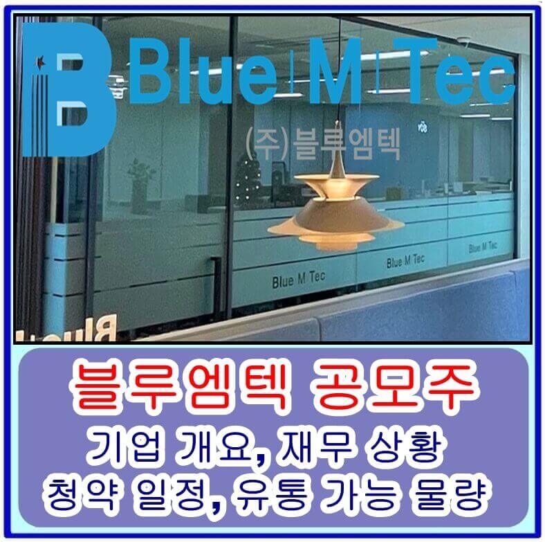 블루엠텍 공모주