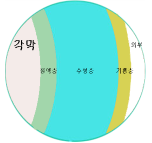  눈이 너무 건조한데 어떻게 관리해야 하나요?