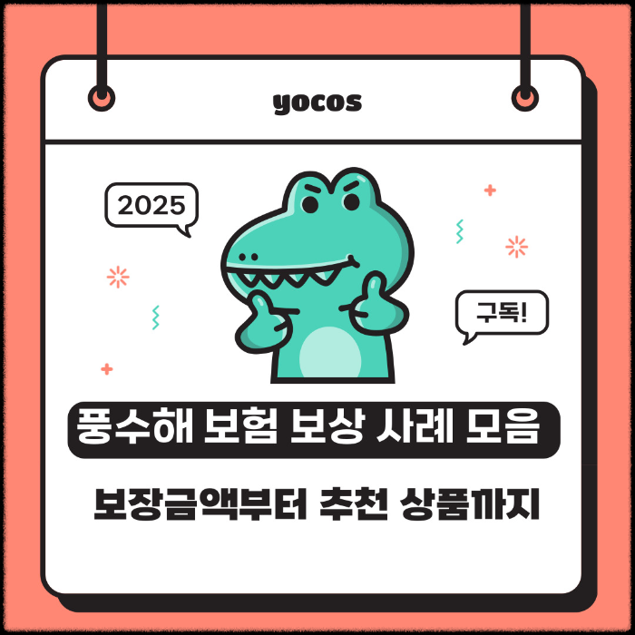 풍수해 보험