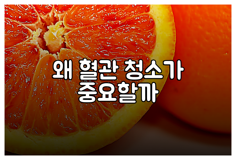 왜 혈관 청소가 중요할까