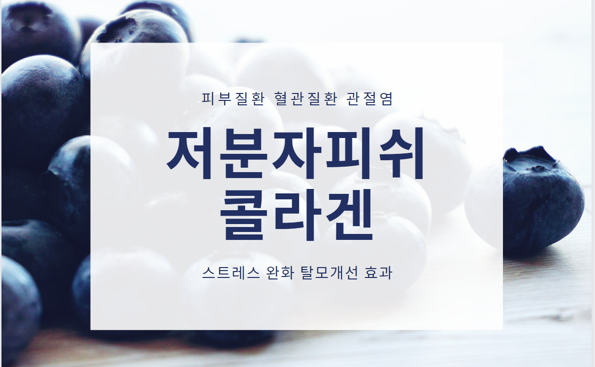  저분자피쉬 콜라겐 피부질환, 혈관질환, 관절염 극복, 항산화 효소 활성, 산화 스트레스 완화, 탈모 개선 효과 #피부노화원인 #심혈관질환 #뇌혈관질환