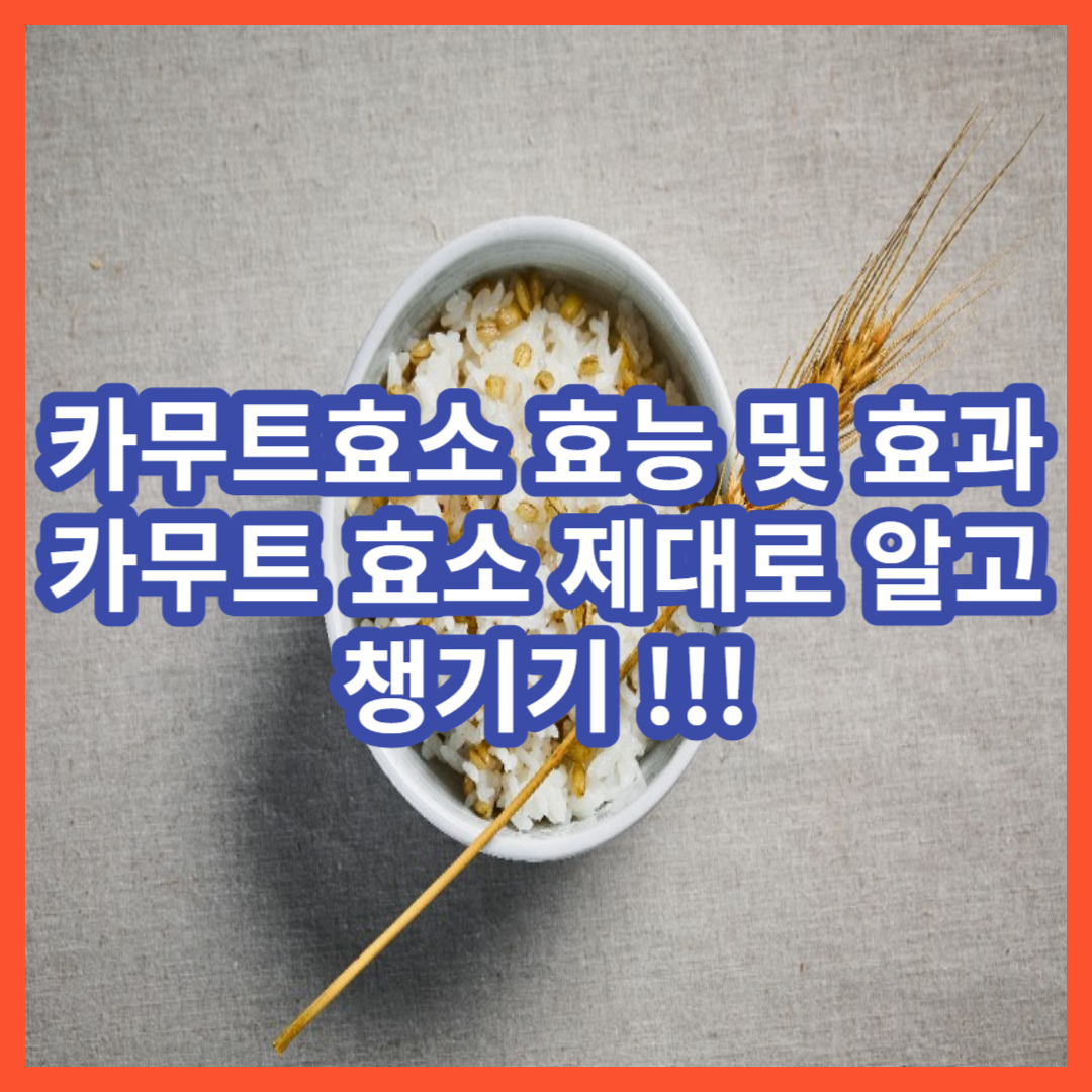  카무트 밀,카무트곡물이란? 카무트 효소 제대로 알아보기