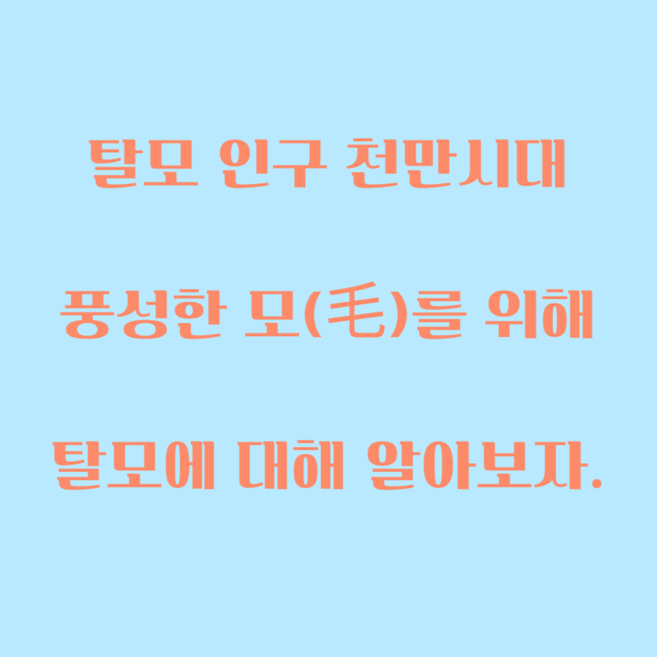  모(毛)가 필요해? 탈모에 대해 알아보자, 원인과 예방 및 관리법