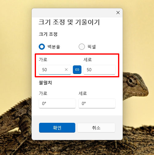 백분율 크기 조절
