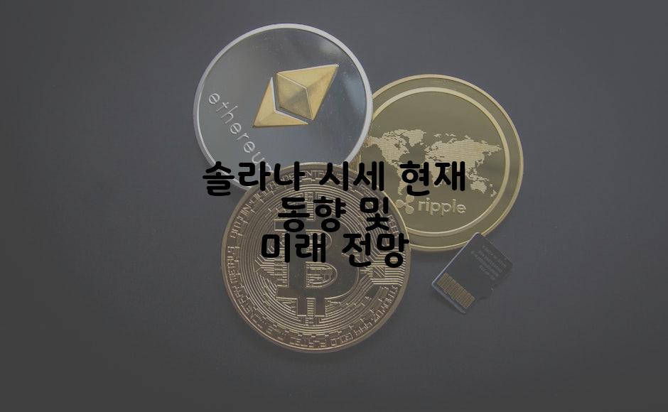 솔라나 시세 현재 동향 및 미래 전망