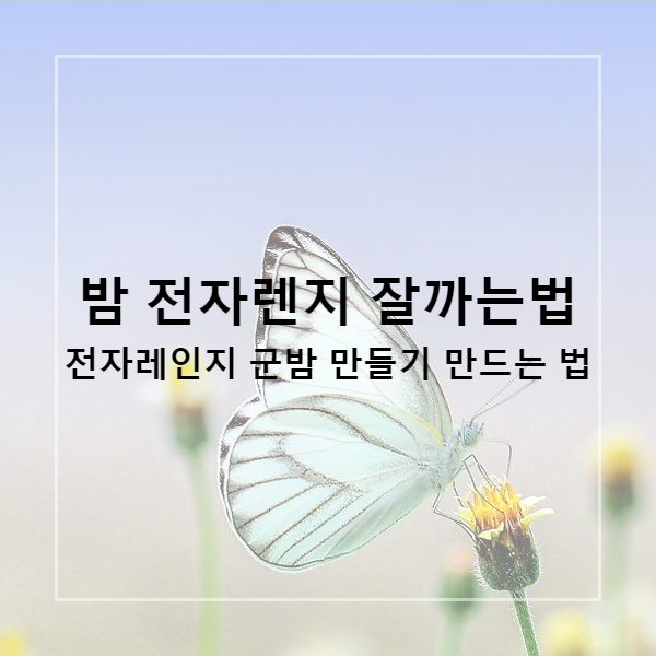  밤 전자렌지 잘까는법 전자레인지 군밤 만들기 만드는 법
