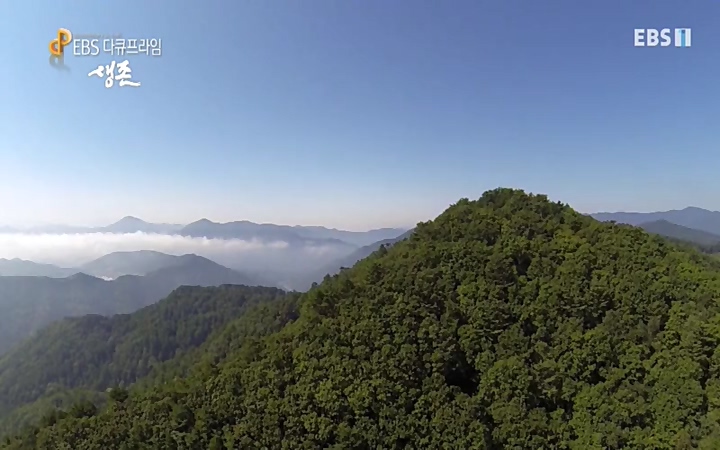 EBS 다큐프라임_ 220628.avi_20220629_210208.949.jpg