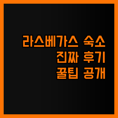 라스베이거스 숙소 고르기..어디가 진