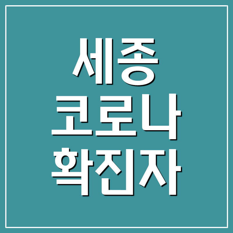  세종 코로나 확진자 현황 및 동선