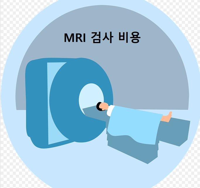 MRI비용 및 검사방법