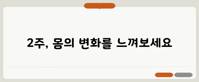 탄단지 40:30:30 식단표로 2주 만에 체중 감량에 도전해 보세요!