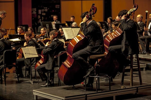 Orchestra&amp;#44; Symphony&amp;#44; Musicians