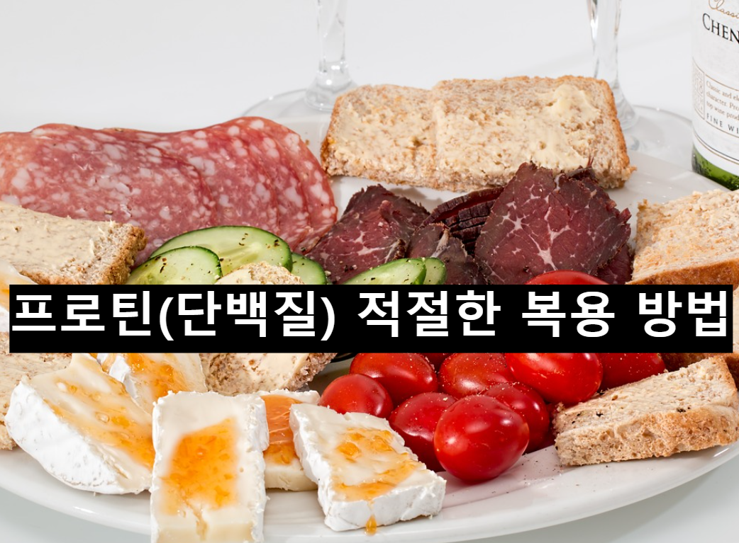  프로틴(단백질)의 적절한 복용