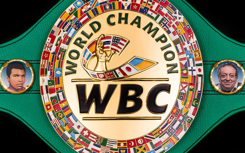 WBC 세계랭킹 14위 윤덕노
