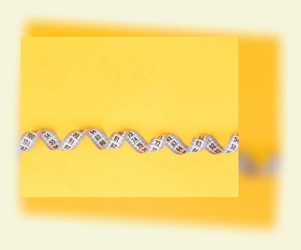 저탄고지 식단_3_subsection