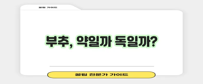 부추 효능은 정말 놀랍다! 주의점도 꼭 알아두자.