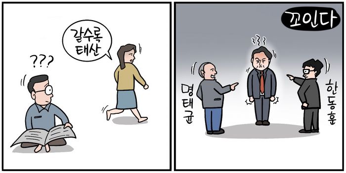 2881662.jpg
