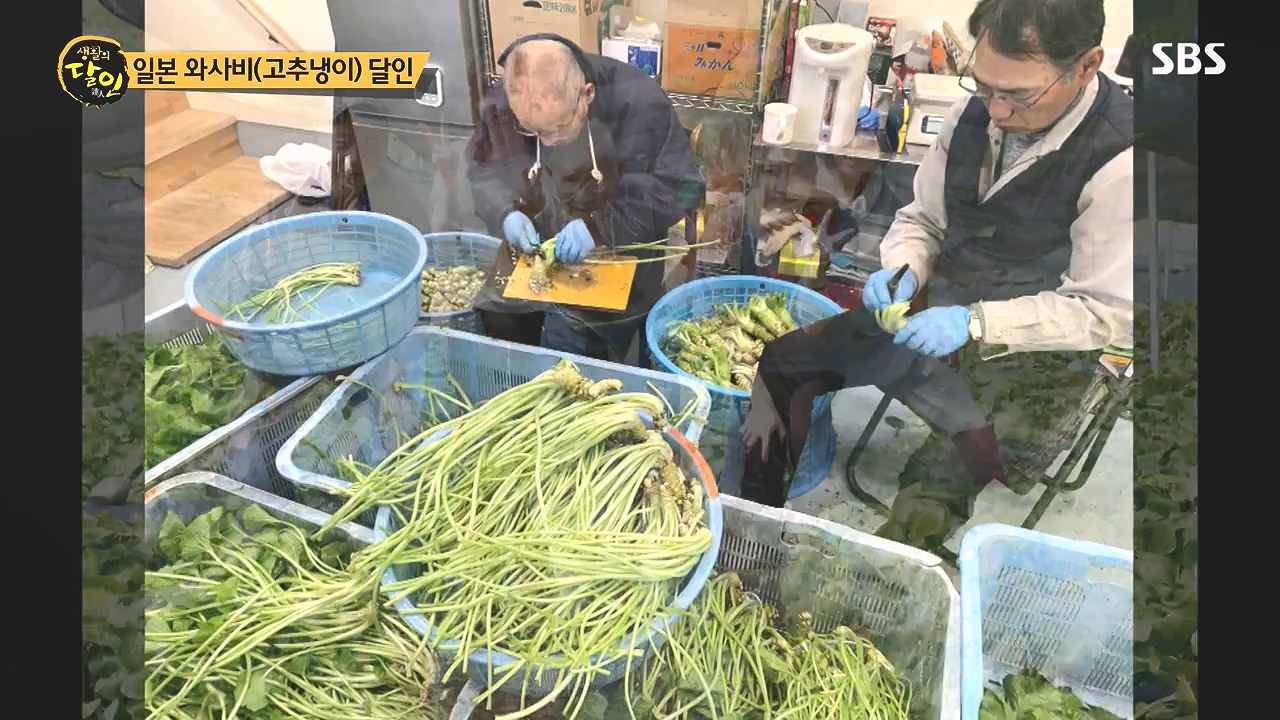 생활의 달인.E908.231017p-NEXT.mp4_20231017_202212.093.jpg