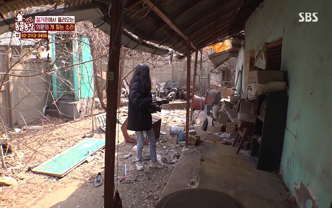 TV 동물농장.E1065.220418p-NEXT.mp4_20220417_181307.839.jpg