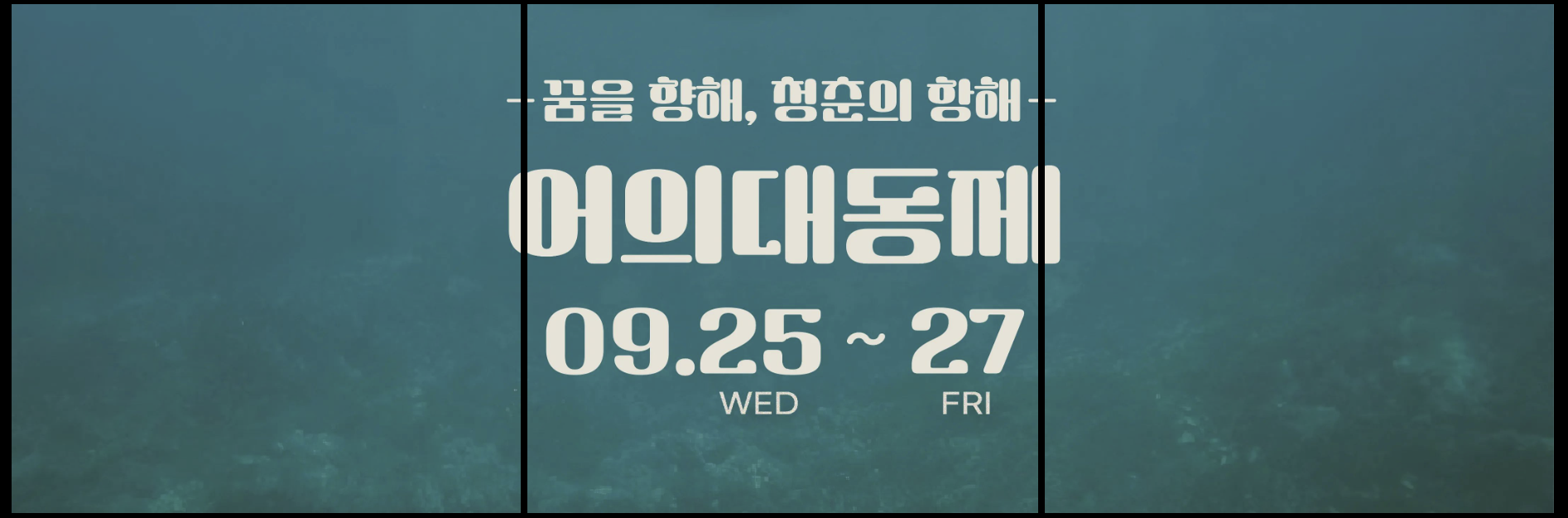 어의대동제