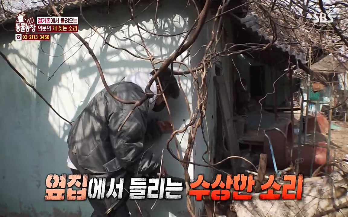 TV 동물농장.E1065.220418p-NEXT.mp4_20220417_181307.169.jpg