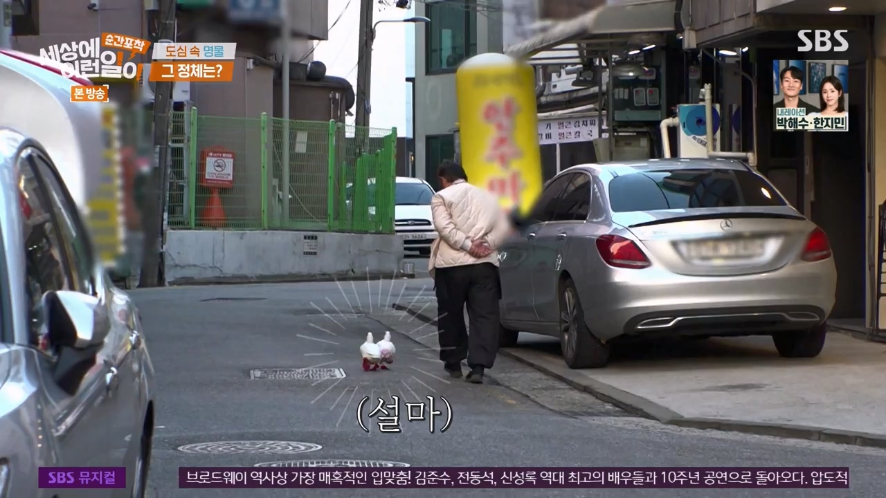 순간포착 세상에 이런일이.E1254.231203p-NEXT.mp4_20231203_140534.610.jpg