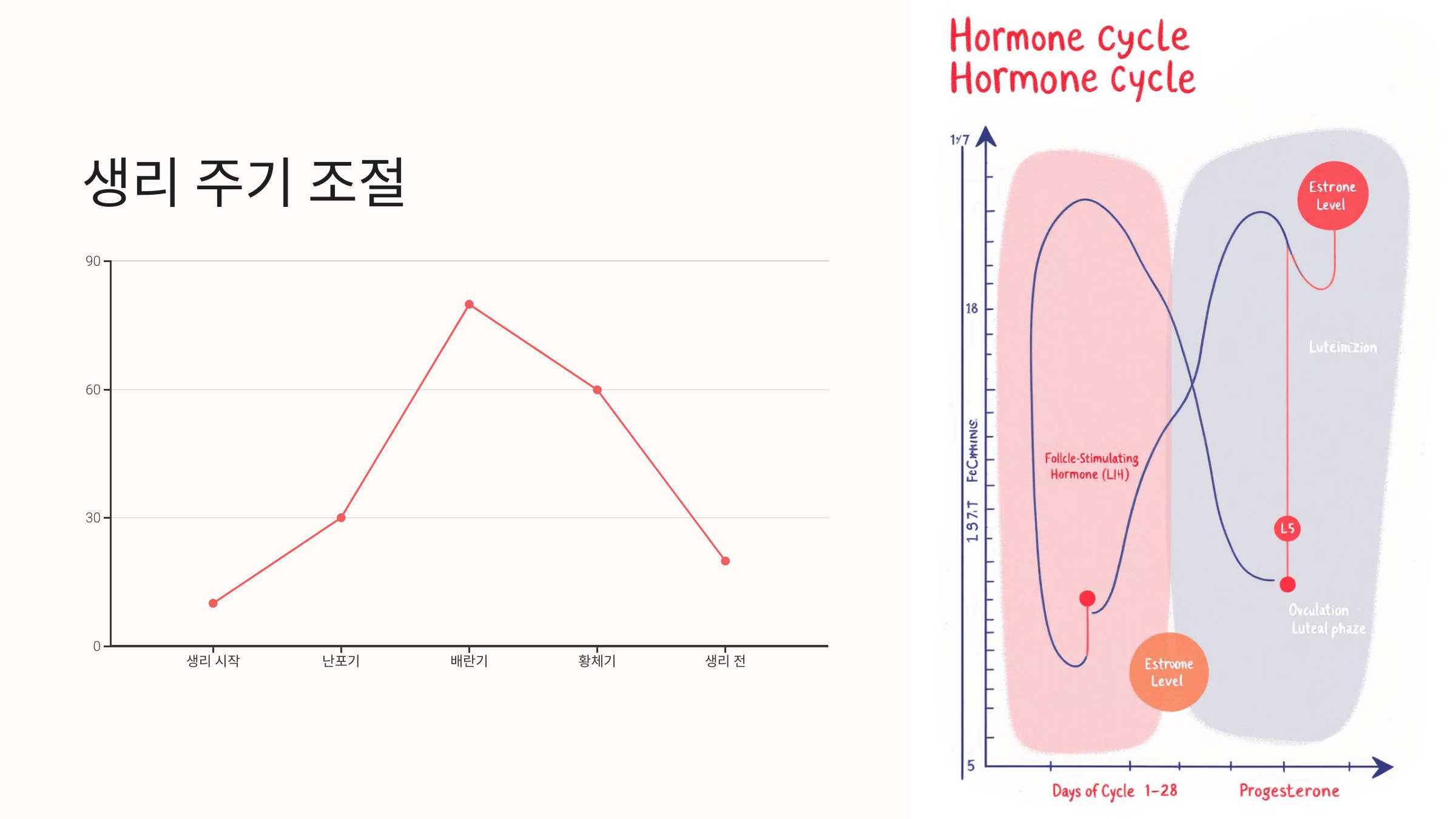식물성 멜라토닌과 관련된 사진입니다.