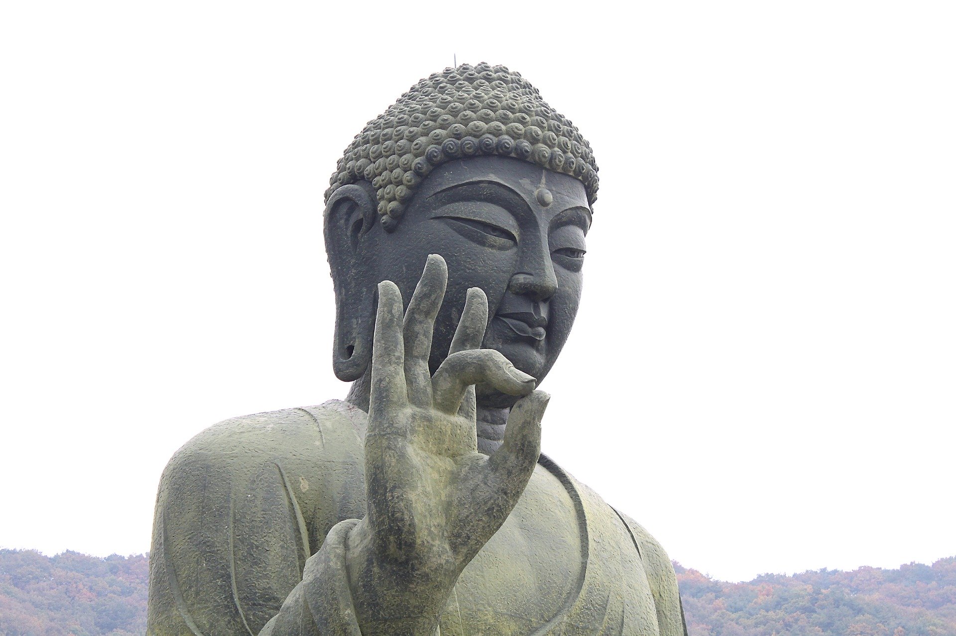  불상은 왜 곱슬머리를 하고 있을까?