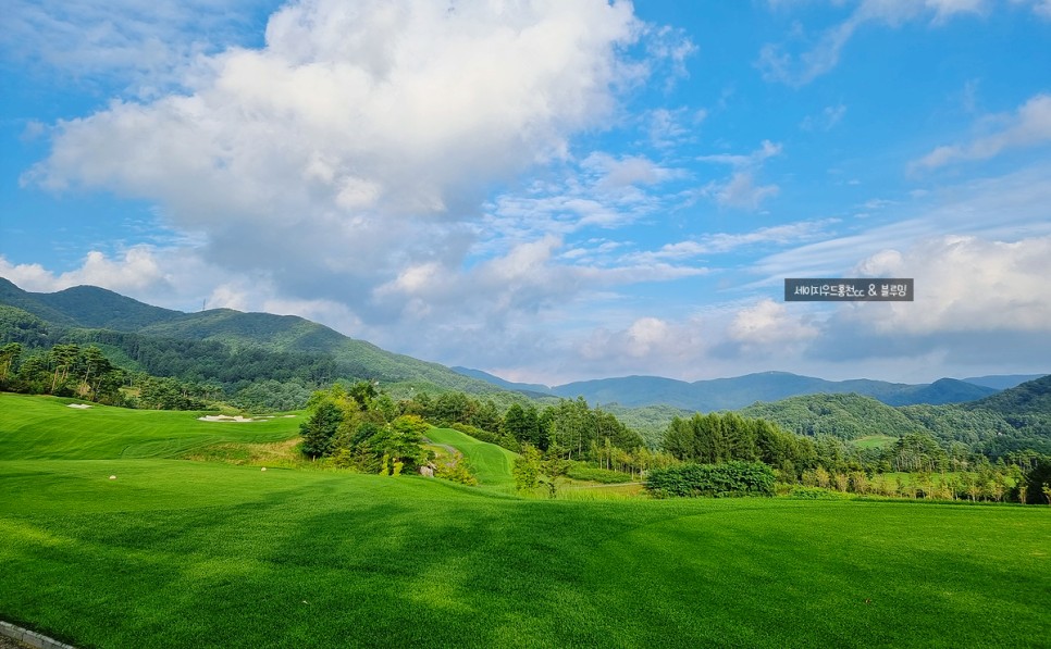 골프에 반하다 세이지우드홍천cc 골프에 반하다촬영지 14