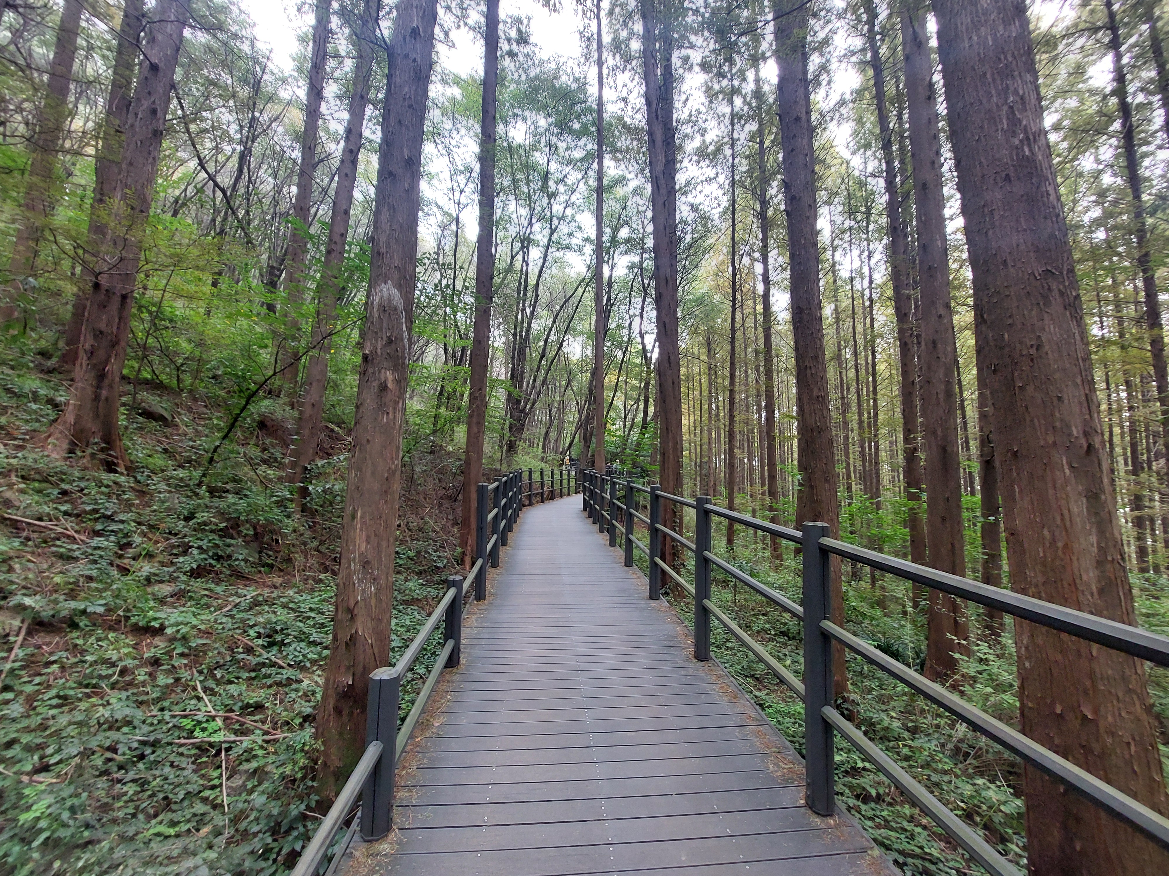 안산