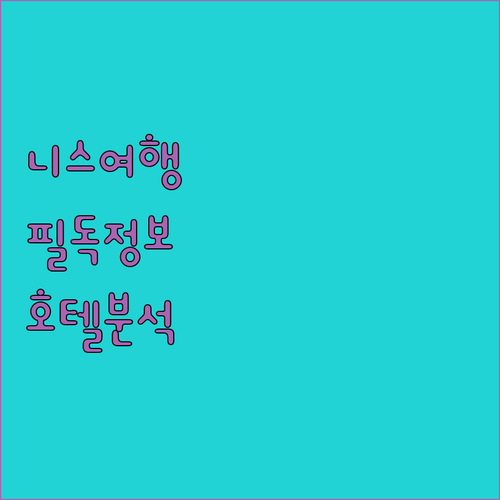 니스 여행객 필독 베스트 웨스턴 프리