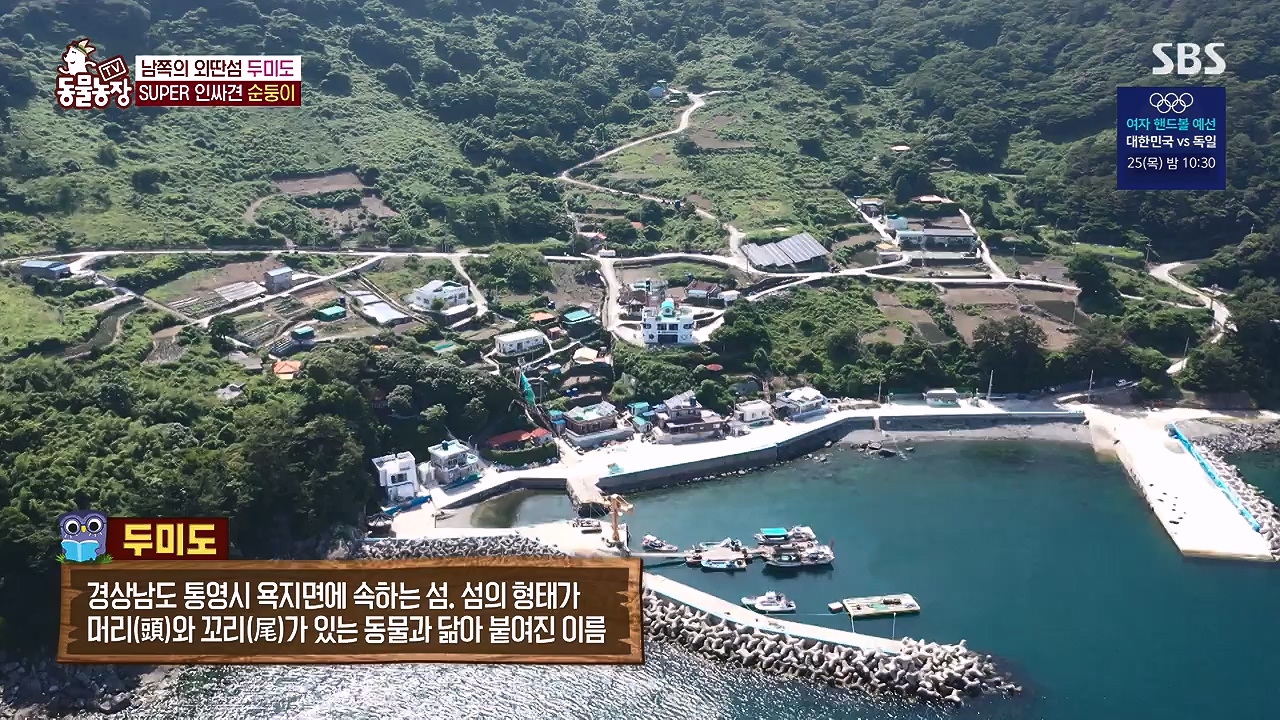 TV 동물농장.E1181.240722p-NEXT.mp4_20240721_165536.342.jpg
