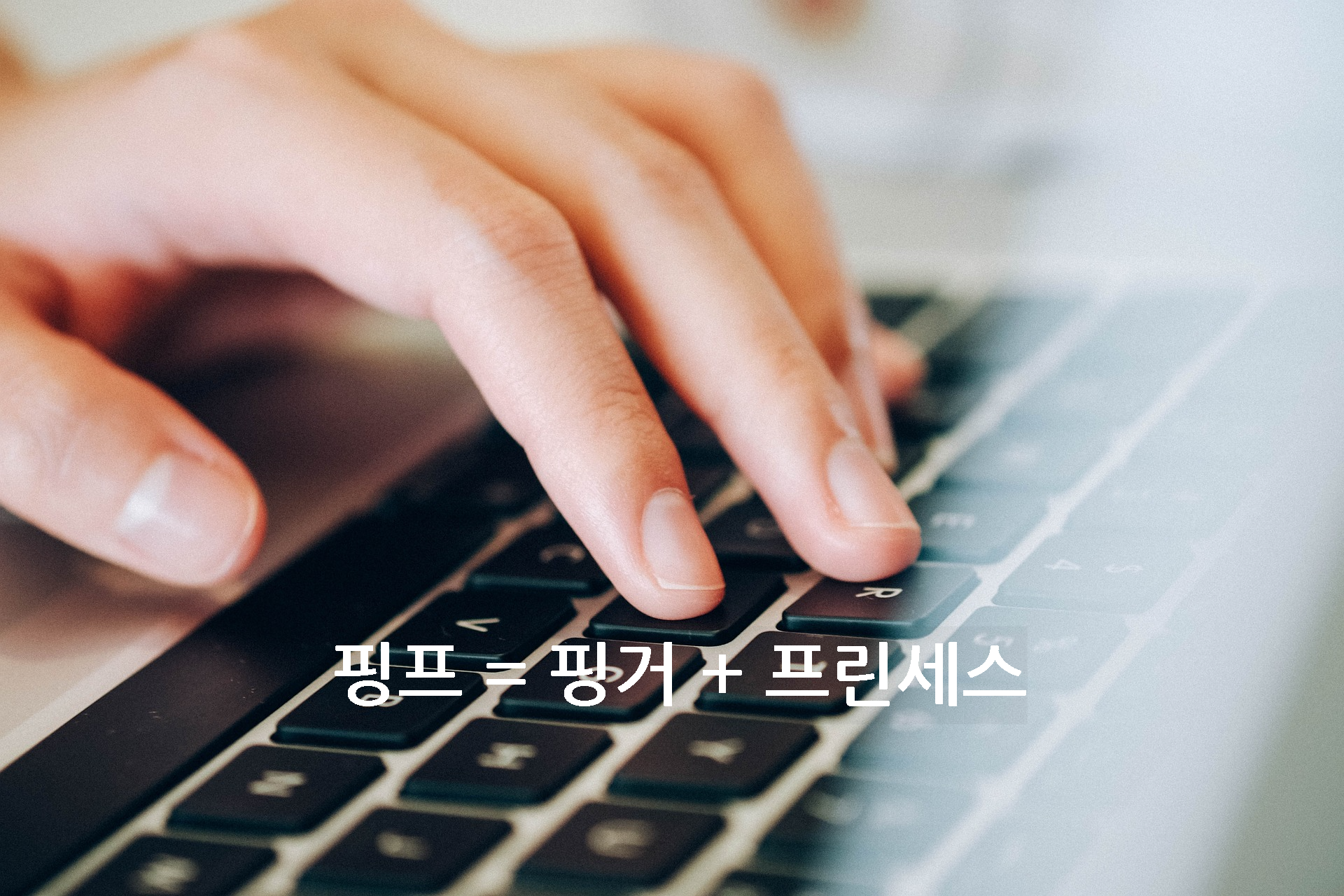 핑프의 뜻은 핑거와 프린세스가 합쳐진 신조어이다.