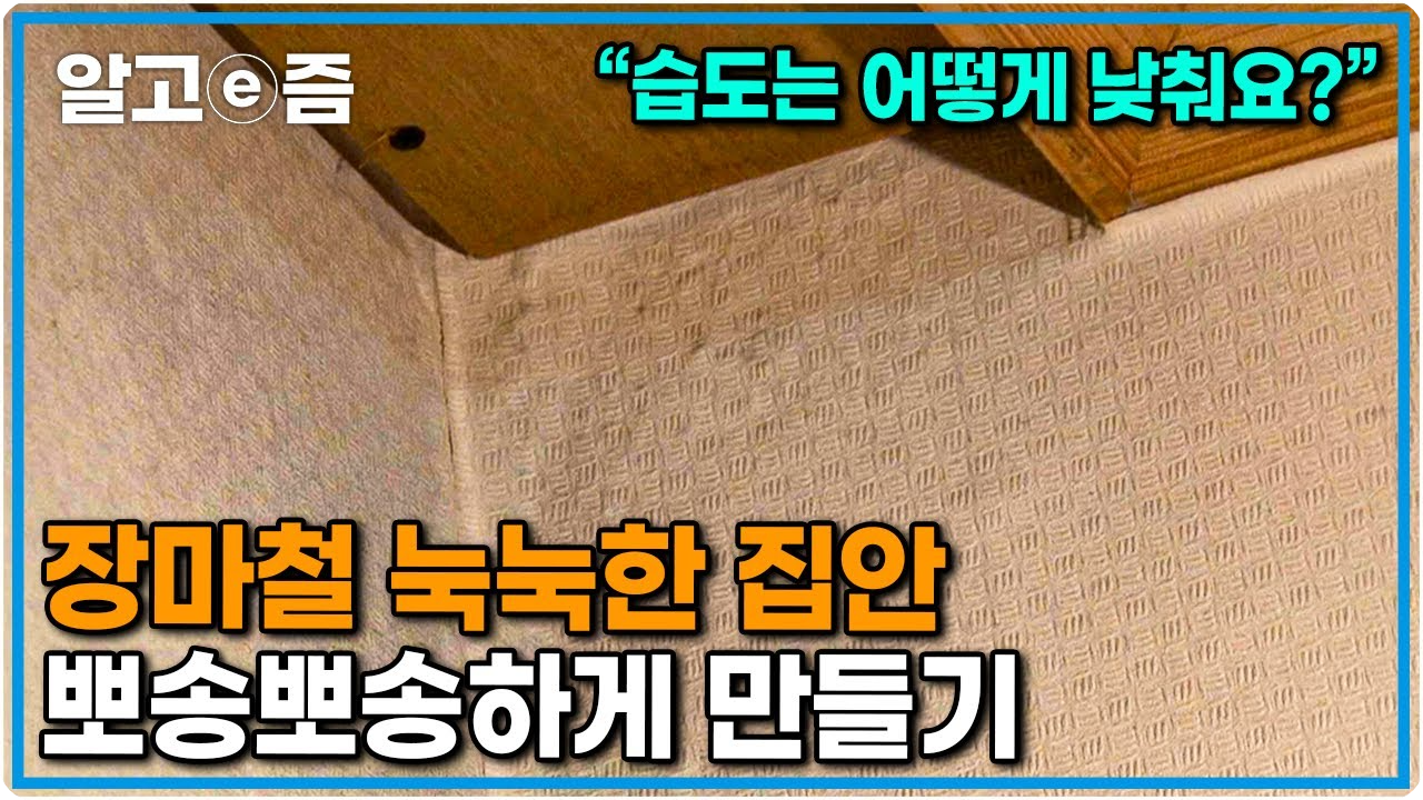 자연적으로습도제거하기2