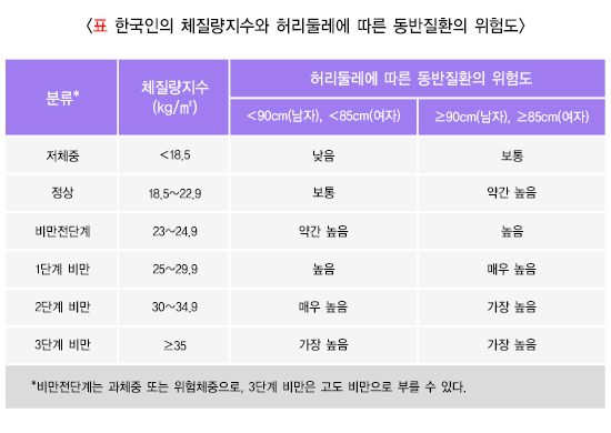 비만 유형 복부 비만 진단 기준