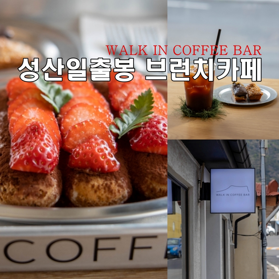 워크인제주 이미지