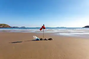 굴업도