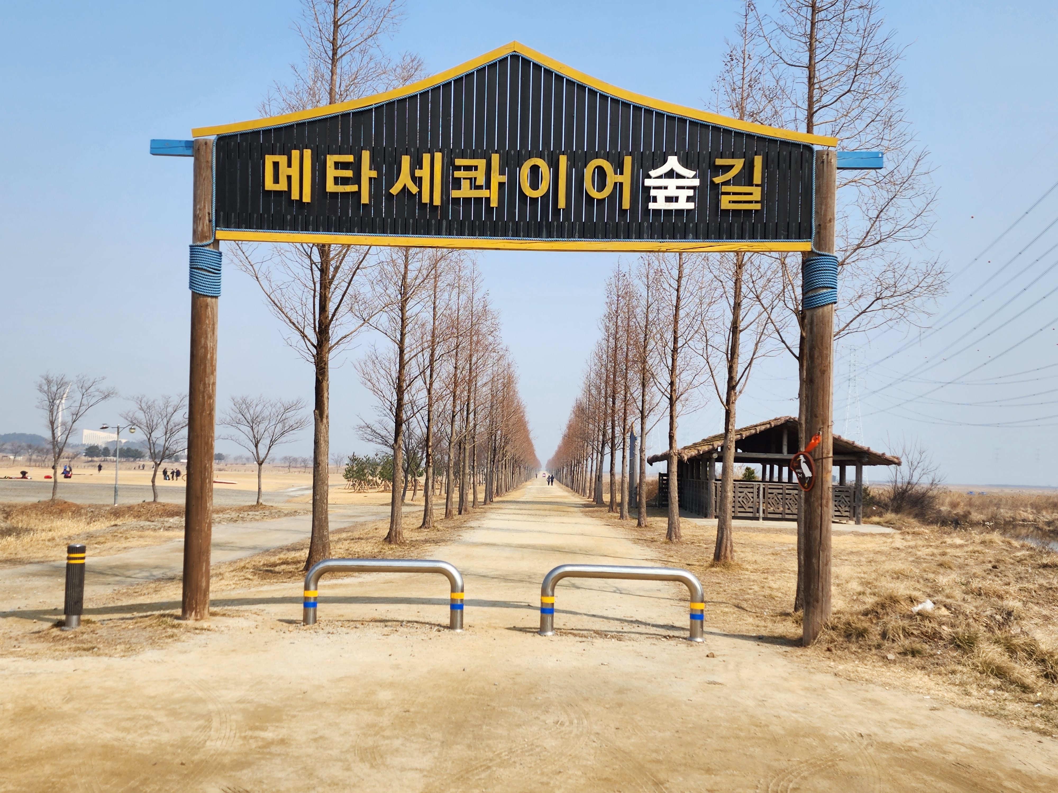대부도 차박 37