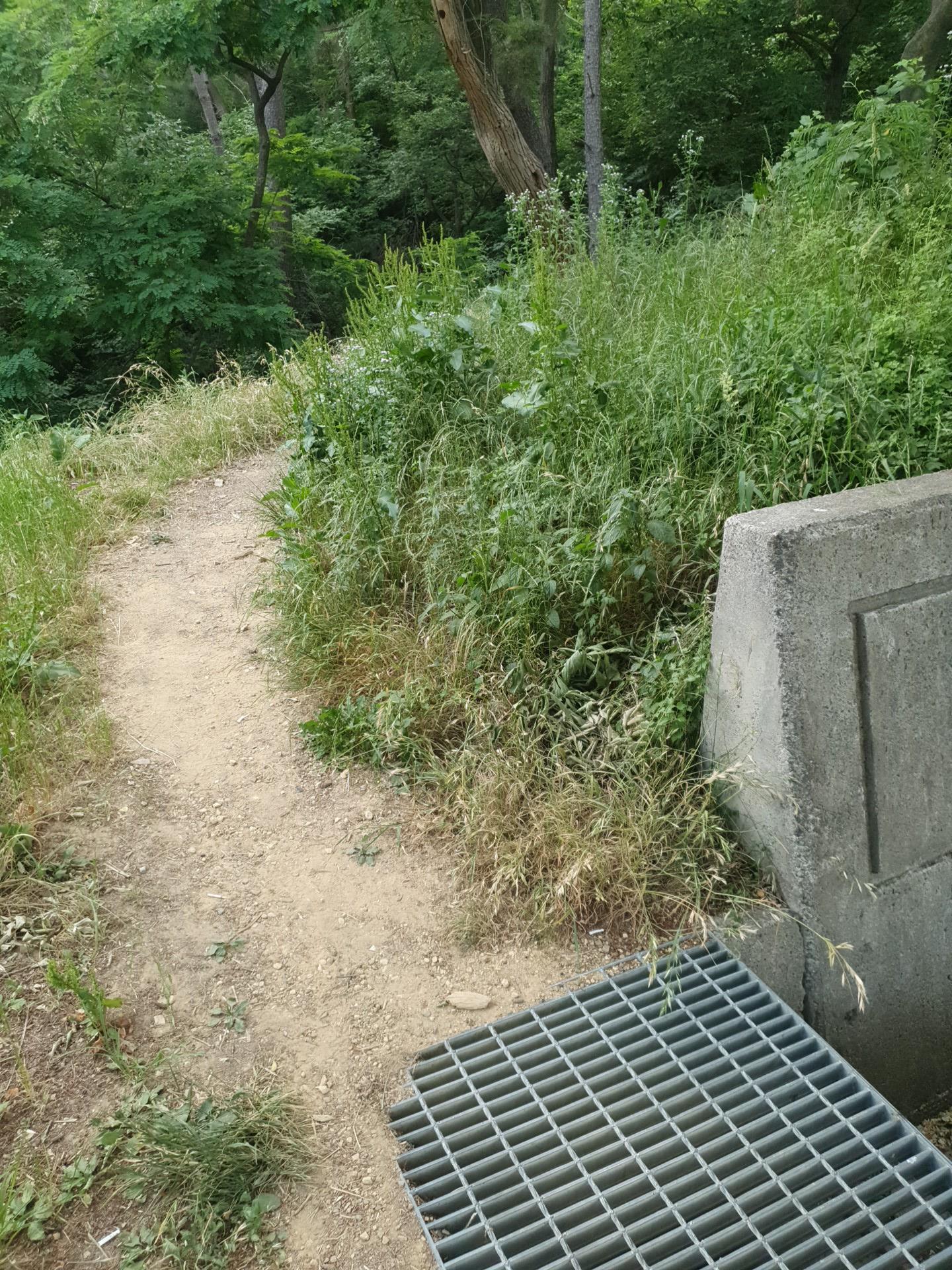 20220526_184711.jpg